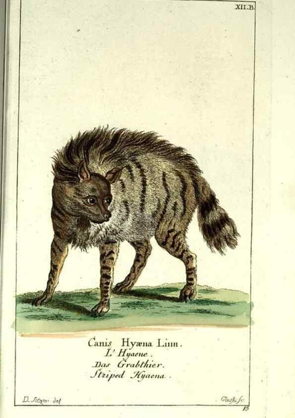 Reproducción/Reproduction 7999615111: Gemeinnüzzige Naturgeschichte des Thierreichs :. Berlin ;bei Gottlieb August Lange,1780-1789.