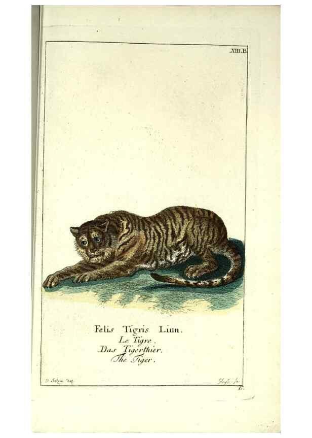 Reproducción/Reproduction 7999616087: Gemeinnüzzige Naturgeschichte des Thierreichs :. Berlin ;bei Gottlieb August Lange,1780-1789.