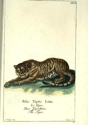 Reproducción/Reproduction 7999616087: Gemeinnüzzige Naturgeschichte des Thierreichs :. Berlin ;bei Gottlieb August Lange,1780-1789.