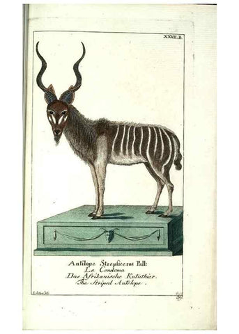 Reproducción/Reproduction 7999630512: Gemeinnüzzige Naturgeschichte des Thierreichs :. Berlin ;bei Gottlieb August Lange,1780-1789.