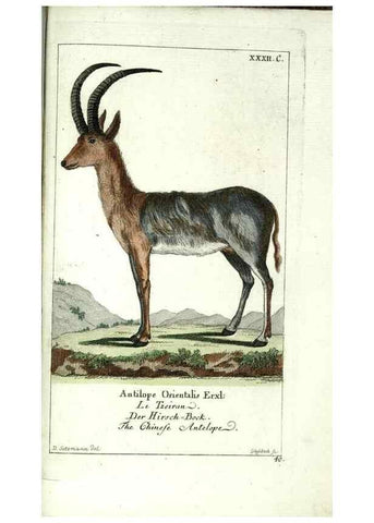 Reproducción/Reproduction 7999630960: Gemeinnüzzige Naturgeschichte des Thierreichs :. Berlin ;bei Gottlieb August Lange,1780-1789.