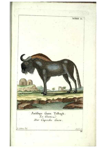 Reproducción/Reproduction 7999627637: Gemeinnüzzige Naturgeschichte des Thierreichs :. Berlin ;bei Gottlieb August Lange,1780-1789.