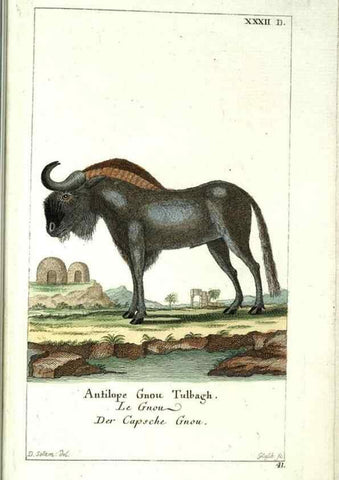 Reproducción/Reproduction 7999627637: Gemeinnüzzige Naturgeschichte des Thierreichs :. Berlin ;bei Gottlieb August Lange,1780-1789.