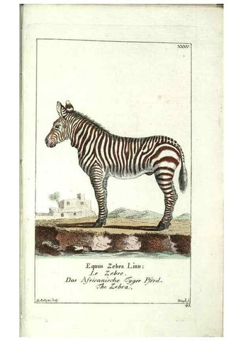 Reproducción/Reproduction 7999629615: Gemeinnüzzige Naturgeschichte des Thierreichs :. Berlin ;bei Gottlieb August Lange,1780-1789.
