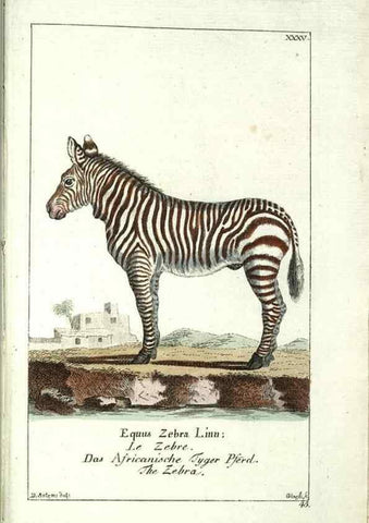 Reproducción/Reproduction 7999629615: Gemeinnüzzige Naturgeschichte des Thierreichs :. Berlin ;bei Gottlieb August Lange,1780-1789.