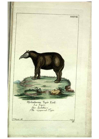 Reproducción/Reproduction 7999631053: Gemeinnüzzige Naturgeschichte des Thierreichs :. Berlin ;bei Gottlieb August Lange,1780-1789.