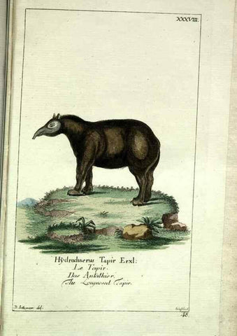 Reproducción/Reproduction 7999631053: Gemeinnüzzige Naturgeschichte des Thierreichs :. Berlin ;bei Gottlieb August Lange,1780-1789.