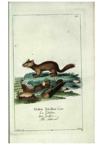 Reproducción/Reproduction 7999620874: Gemeinnüzzige Naturgeschichte des Thierreichs :. Berlin ;bei Gottlieb August Lange,1780-1789.