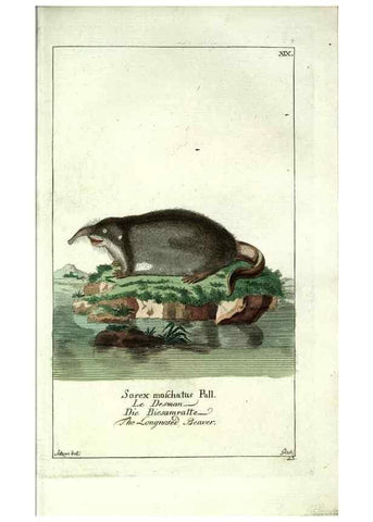 Reproducción/Reproduction 7999622828: Gemeinnüzzige Naturgeschichte des Thierreichs :. Berlin ;bei Gottlieb August Lange,1780-1789.