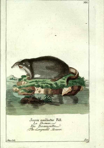 Reproducción/Reproduction 7999622828: Gemeinnüzzige Naturgeschichte des Thierreichs :. Berlin ;bei Gottlieb August Lange,1780-1789.