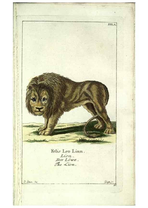 Reproducción/Reproduction 7999619474: Gemeinnüzzige Naturgeschichte des Thierreichs :. Berlin ;bei Gottlieb August Lange,1780-1789.