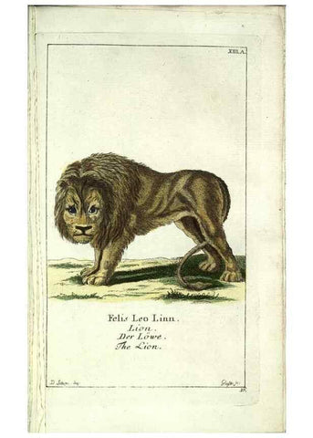 Reproducción/Reproduction 7999619474: Gemeinnüzzige Naturgeschichte des Thierreichs :. Berlin ;bei Gottlieb August Lange,1780-1789.