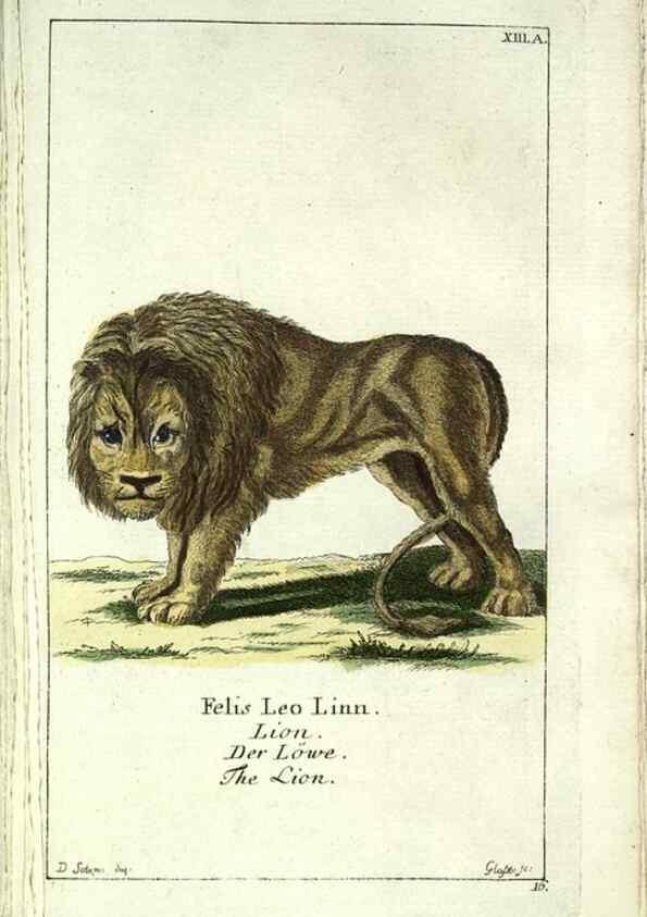 Reproducción/Reproduction 7999619474: Gemeinnüzzige Naturgeschichte des Thierreichs :. Berlin ;bei Gottlieb August Lange,1780-1789.
