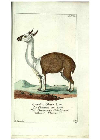 Reproducción/Reproduction 7999623833: Gemeinnüzzige Naturgeschichte des Thierreichs :. Berlin ;bei Gottlieb August Lange,1780-1789.
