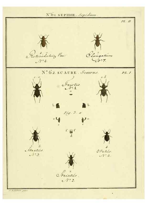 Reproducción/Reproduction 8112720711: Entomologie, ou, Histoire naturelle des insectes :. A Paris :De l'Imprimerie de Baudoin,1789-1808.