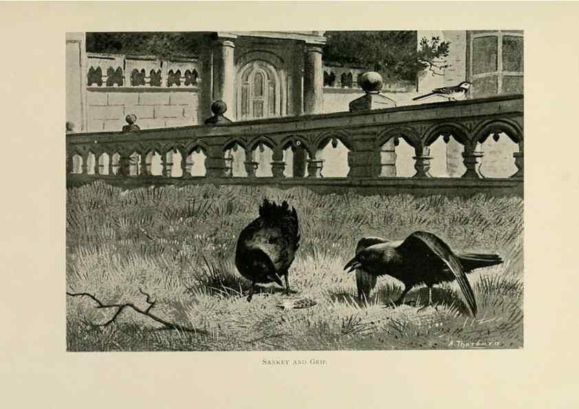 Reproducción/Reproduction 8076814808: Lord Lilford on birds:. London,Hutchinson,1903.