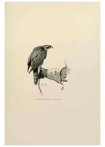 Reproducción/Reproduction 8076823293: Lord Lilford on birds:. London,Hutchinson,1903.