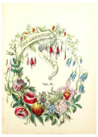 Reproducción/Reproduction 8079579347: The American flora :. New York :Hull & Spencer,1855.