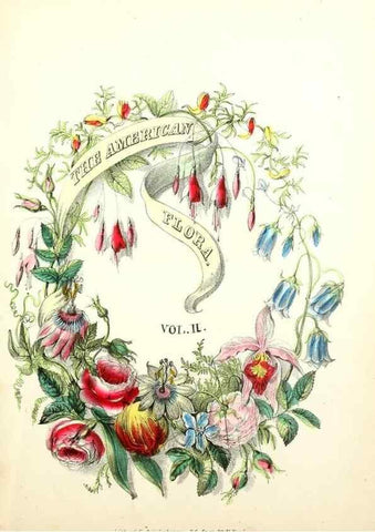 Reproducción/Reproduction 8079579347: The American flora :. New York :Hull & Spencer,1855.