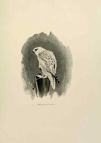 Reproducción/Reproduction 8076817760: Lord Lilford on birds:. London,Hutchinson,1903.