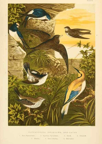 Reproducción/Reproduction 8053836633: The smaller British birds :. London :Gibbins,1894.