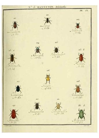 Reproducción/Reproduction 8112668814: Entomologie, ou, Histoire naturelle des insectes :. A Paris :De l'Imprimerie de Baudoin,1789-1808.