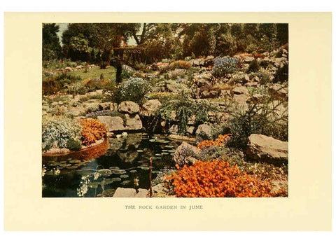 Reproducción/Reproduction 6465815541: The book of hardy flowers New York,Funk & Wagnalls company; [etc., etc.][1915] 