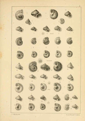 Reproducción/Reproduction 6472357921: Die Preussische expedition nach Ost-Asien. bd.2. Berlin :Königlichen geheimen ober-hofbuchdruckerei (R. v. Decker),1867-1876