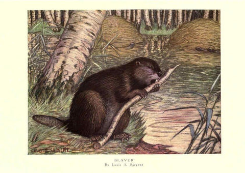Reproducción/Reproduction 6505656195: The wild beasts of the world. v.1. London :T. C. & E. C. Jack,[1909?] 