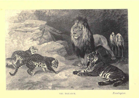 Reproducción/Reproduction 6505679893: Wild beasts and their ways London,Macmillan and co.,1890