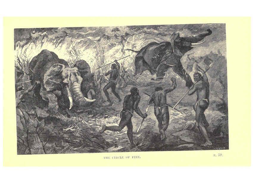Reproducción/Reproduction 6505681073: Wild beasts and their ways London,Macmillan and co.,1890