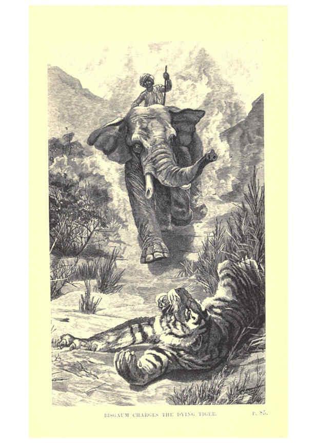 Reproducción/Reproduction 6505681595: Wild beasts and their ways London,Macmillan and co.,1890
