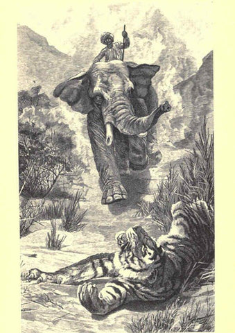 Reproducción/Reproduction 6505681595: Wild beasts and their ways London,Macmillan and co.,1890