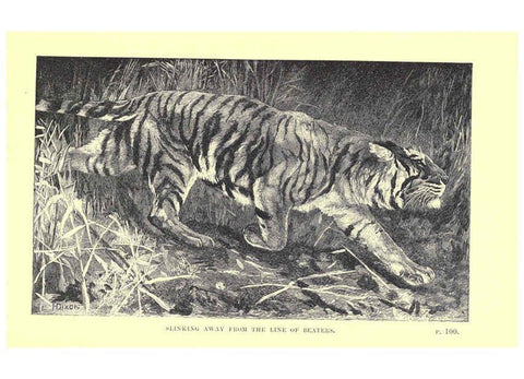 Reproducción/Reproduction 6505682005: Wild beasts and their ways London,Macmillan and co.,1890