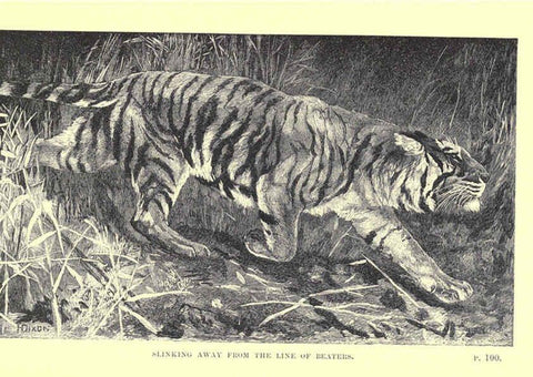 Reproducción/Reproduction 6505682005: Wild beasts and their ways London,Macmillan and co.,1890