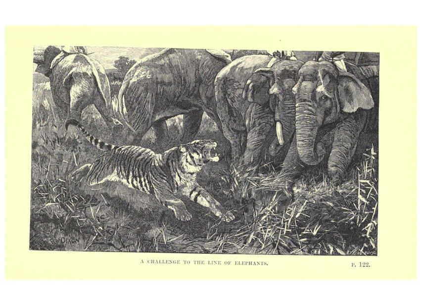 Reproducción/Reproduction 6505682937: Wild beasts and their ways London,Macmillan and co.,1890