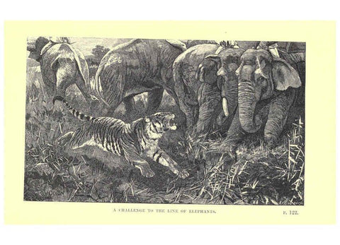 Reproducción/Reproduction 6505682937: Wild beasts and their ways London,Macmillan and co.,1890