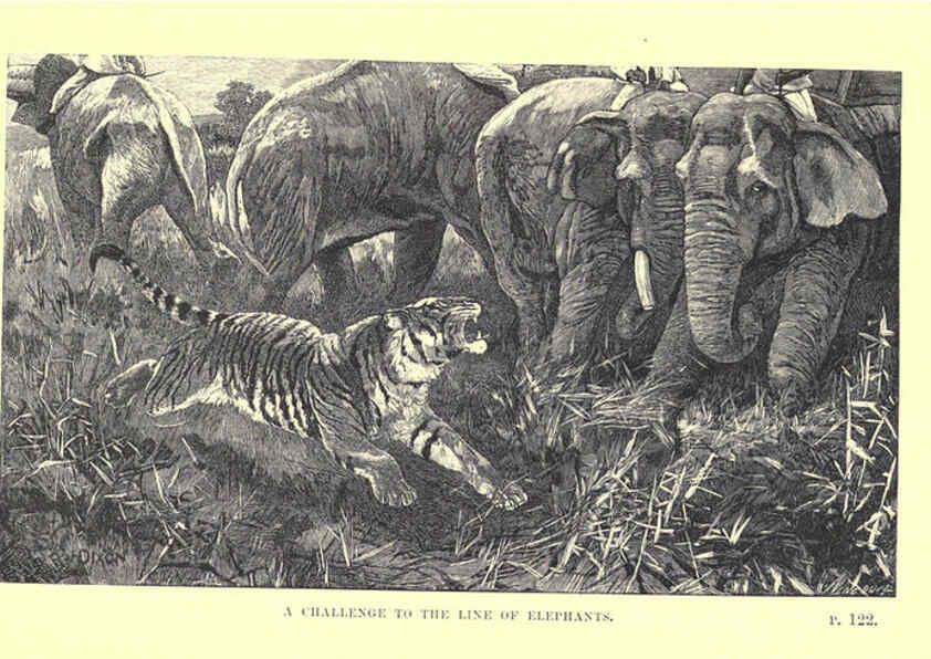 Reproducción/Reproduction 6505682937: Wild beasts and their ways London,Macmillan and co.,1890