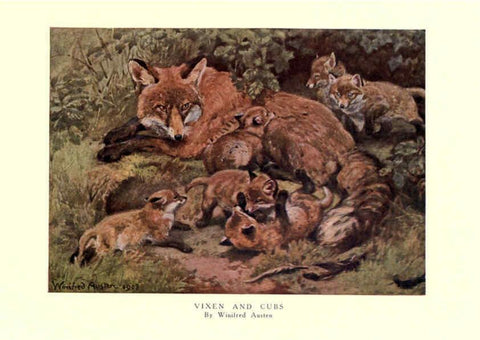Reproducción/Reproduction 6505645901: The wild beasts of the world. v.1. London :T. C. & E. C. Jack,[1909?] 