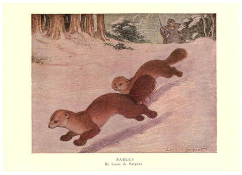 Reproducción/Reproduction 6505646823: The wild beasts of the world. v.1. London :T. C. & E. C. Jack,[1909?] 