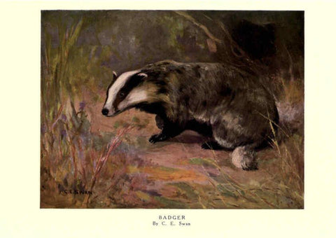 Reproducción/Reproduction 6505647963: The wild beasts of the world. v.1. London :T. C. & E. C. Jack,[1909?] 