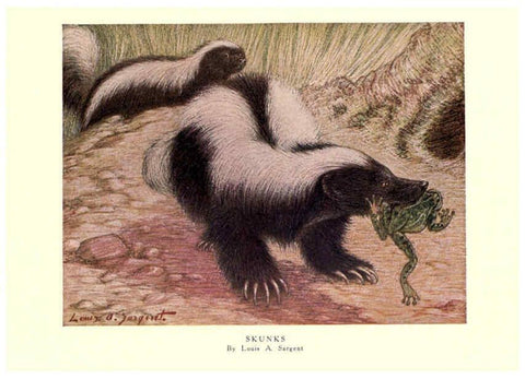 Reproducción/Reproduction 6505648403: The wild beasts of the world. v.1. London :T. C. & E. C. Jack,[1909?] 