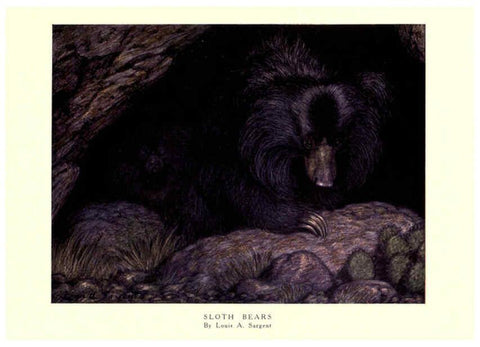 Reproducción/Reproduction 6505651473: The wild beasts of the world. v.1. London :T. C. & E. C. Jack,[1909?] 