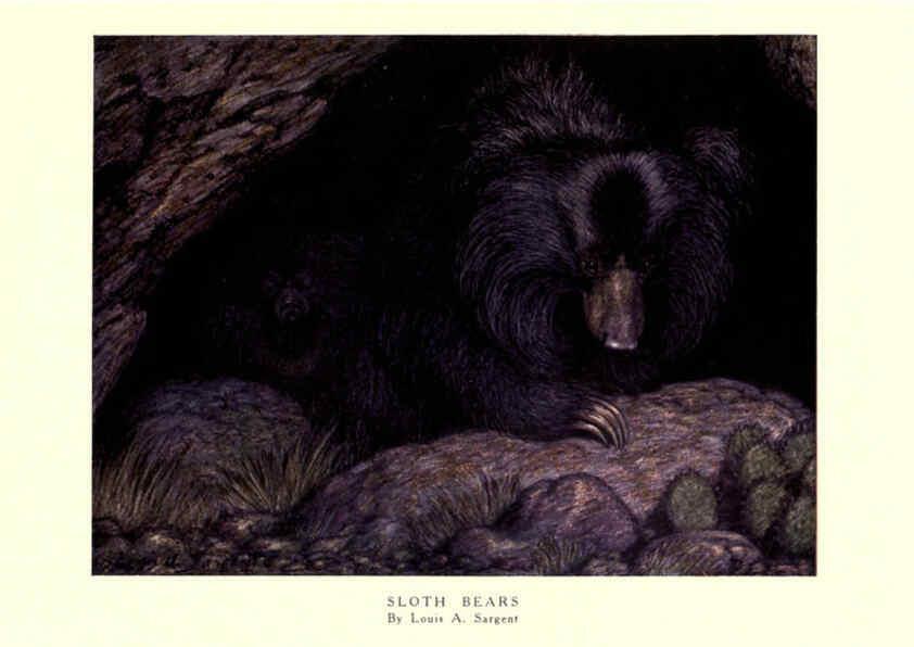 Reproducción/Reproduction 6505651473: The wild beasts of the world. v.1. London :T. C. & E. C. Jack,[1909?] 