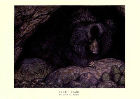 Reproducción/Reproduction 6505651473: The wild beasts of the world. v.1. London :T. C. & E. C. Jack,[1909?] 