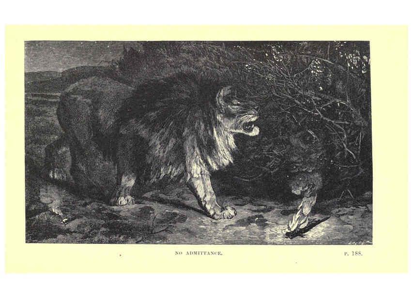 Reproducción/Reproduction 6505685379: Wild beasts and their ways London,Macmillan and co.,1890