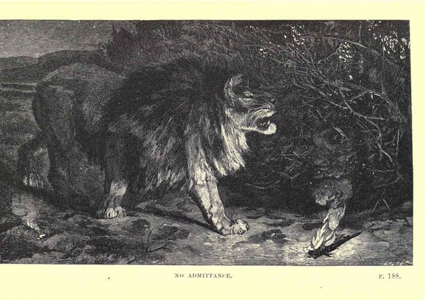 Reproducción/Reproduction 6505685379: Wild beasts and their ways London,Macmillan and co.,1890