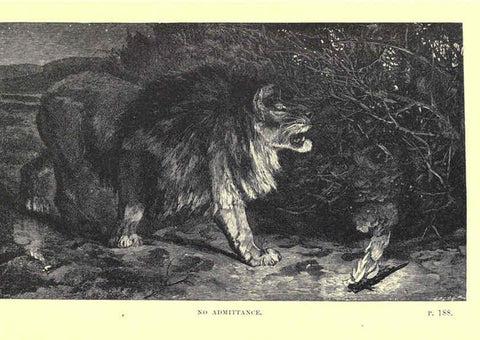 Reproducción/Reproduction 6505685379: Wild beasts and their ways London,Macmillan and co.,1890