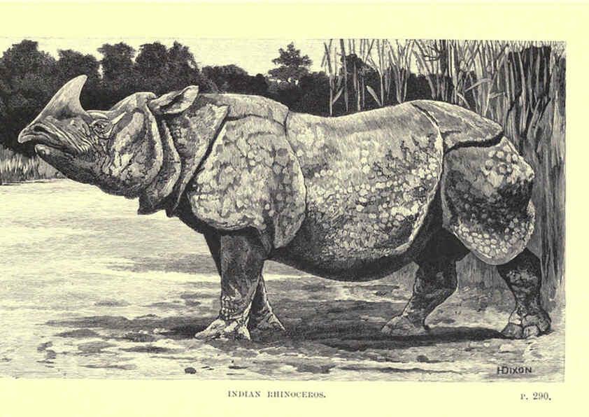 Reproducción/Reproduction 6505688029: Wild beasts and their ways London,Macmillan and co.,1890