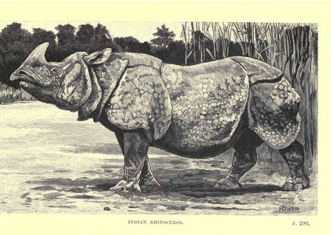 Reproducción/Reproduction 6505688029: Wild beasts and their ways London,Macmillan and co.,1890